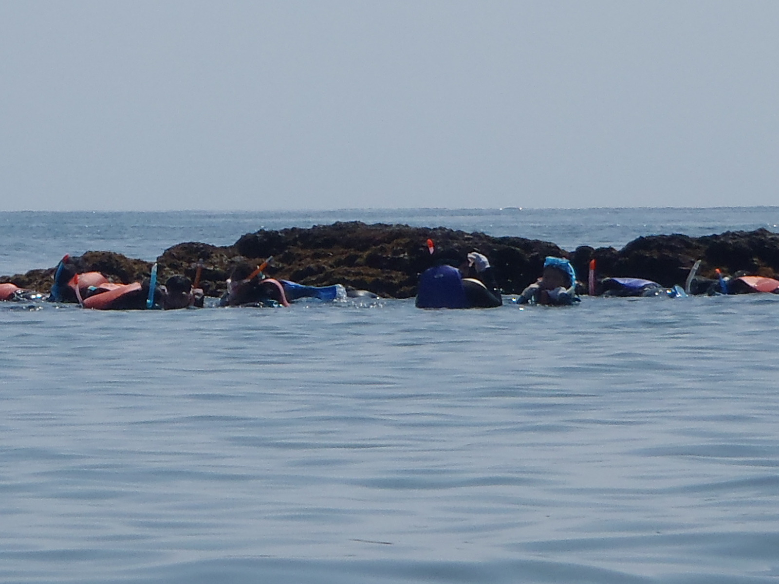 H29819磯のまわり