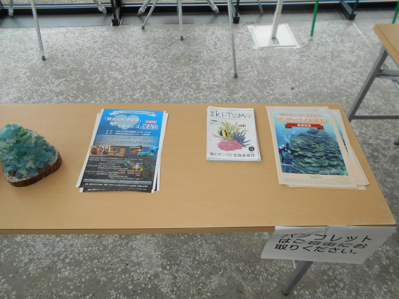 配布パンフレット